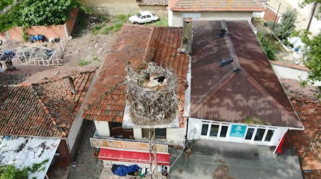 Sadık leylek, 20 yıldır o kentteki aynı elektrik direğine gelip yuva yapıyor! Mahalleli, leyleğe isim bile vermiş 1